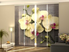 Foto-Schiebegardine gelbe