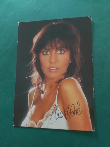 Tina york musik - tina,