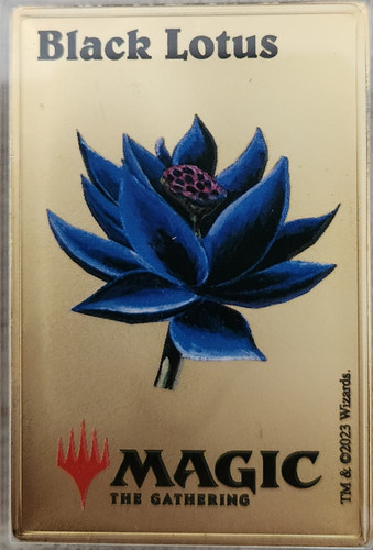 Magic the gathering - magic:,