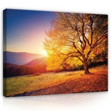 CANVAS Leinwand bilder XXL