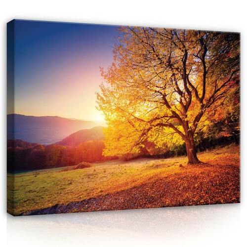 Canvas leinwand bilder - bilder, xxl