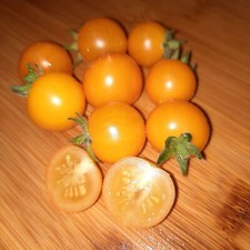 10 Tomatensamen, Aztek