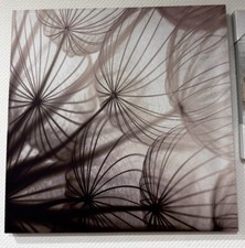Wandbild Pusteblume Dekoration