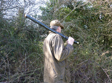 RIESIGER IRISCHER BLACKTHORN