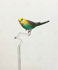 Orchideenstäbe Glas