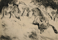 CURT MEYER-EBERHARDT Radierung