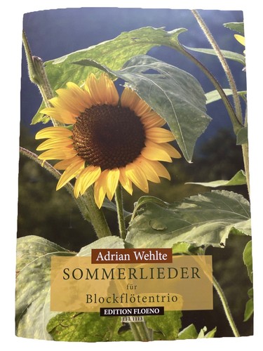Sommer lieder und medleys - lieder,
