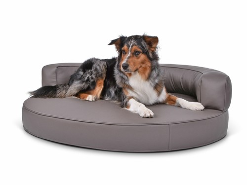 Hundebett atlanta kunstleder - atlanta,