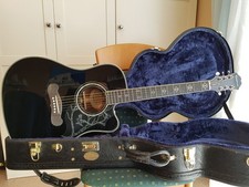 Epiphone Dave Navarro Sign