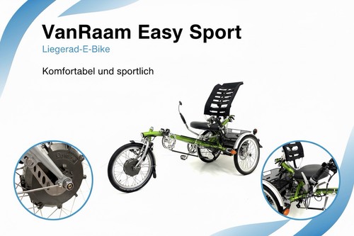Vanraam liegerad easy - vanraam,