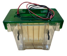 Bio-Rad Protean II XI Cell Gel