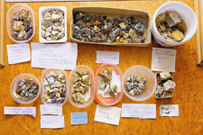 Großes, sehr gutes, vielfält. Konvolut hundete MM (Material) Fundorte s. Fotos