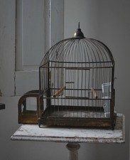 Antike Vogelkäfig 