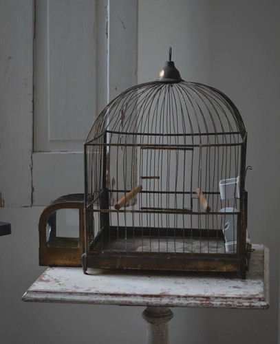Antike vogelkäfig - antike,