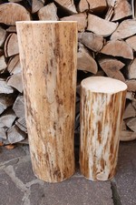 2  Baumstämme # 55 cm + 36 cm