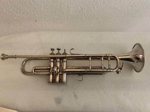 Profi trompete silber scholtus - profi,