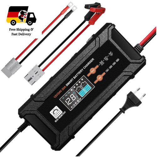 Eco worthy 12v 24v 20a - 24v, smart