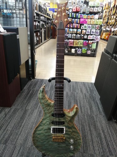 Esp amorous gitarre - esp,