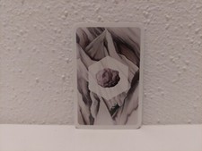 Candamir - Die ersten Siedler