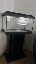 Model JweLi Aquarium Set Farbe