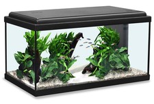 AQUATLANTIS Advance 60 LED