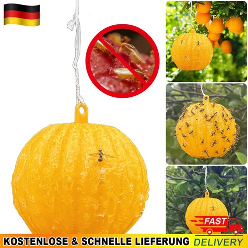 Fruit fly balls - balls,
