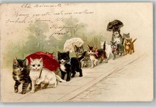 13988591 - Katze Regenschirm kleine Kaetzchen Tier, vermenschlicht 1901
