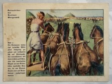 Natur-Bilder + Berliner