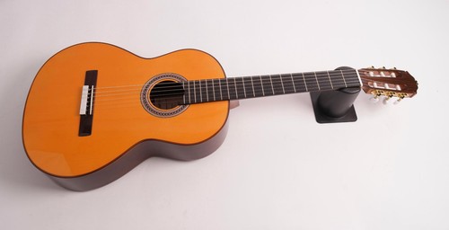 Amalio burguet fnegra - amalio,