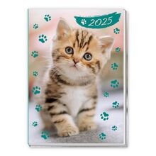 Trötsch taschenkalender - trötsch, a7