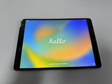 Apple iPad Pro 1. Gen 256GB