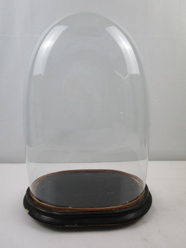 Glasdom stolp mit holzsockel - glasdom,