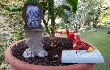 Ü-Ei Oster Edition 2020