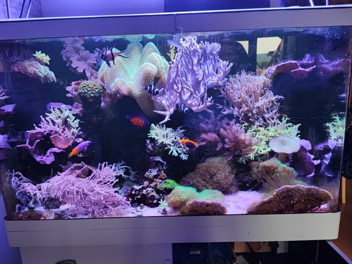 Komplettes aquarium zum - komplettes,
