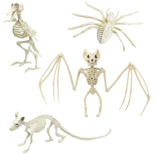 Horror skelett krähe - horror,