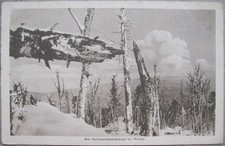AK Am Hartmannsweilerkopf im Winter - Feldpost 1917