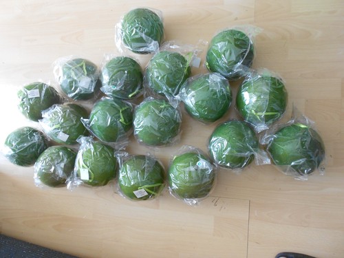 Grüne kugel weihnachten - kugel,