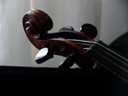 Geige violine mit - 4/4,