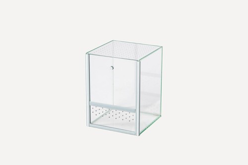 Glas terrarium new 20x20x30cm - new,