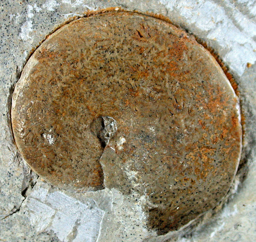 Malm standstück mit - malm,