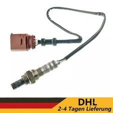 Lambdasonde Diagnosesonde für