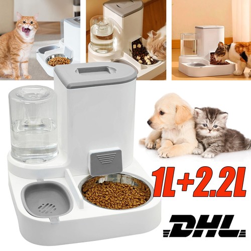 Hunde katzen futterspender - hunde,