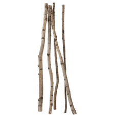Deko Birkenstämme Birken-Stamm Dekobirke Birkenholz 170 cm 3-5 cm Ø 5 Stück