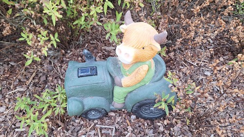 Kleiner stier mit traktor - kleiner,