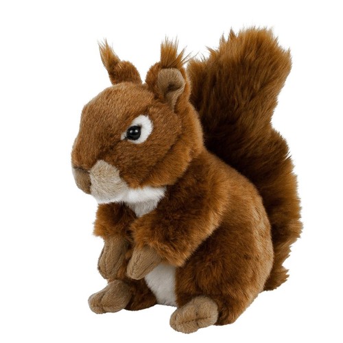 Eichhörnchen cm - eichhörnchen, 23