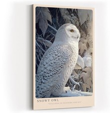 Sinus Art Paul Sinus Wandbild