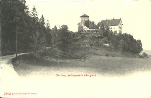 Schloss wildenstein - schloss,