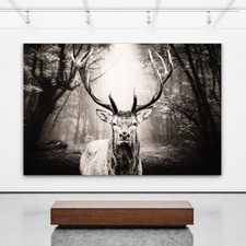 ACRYLGLAS WANDBILD HIRSCH