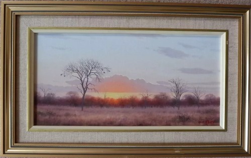 Afrikanischer sonnenuntergang - afrikanischer,