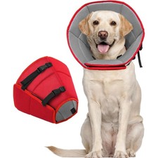 Hund Halskrause Leckschutz